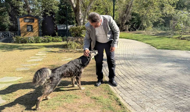 Başkan Yetişkin: Canlarımızı Efelerde yaşatacağız