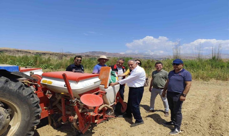 Batmanda çiftçilere yağlık ayçiçeği tohumu dağıtımı yapıldı