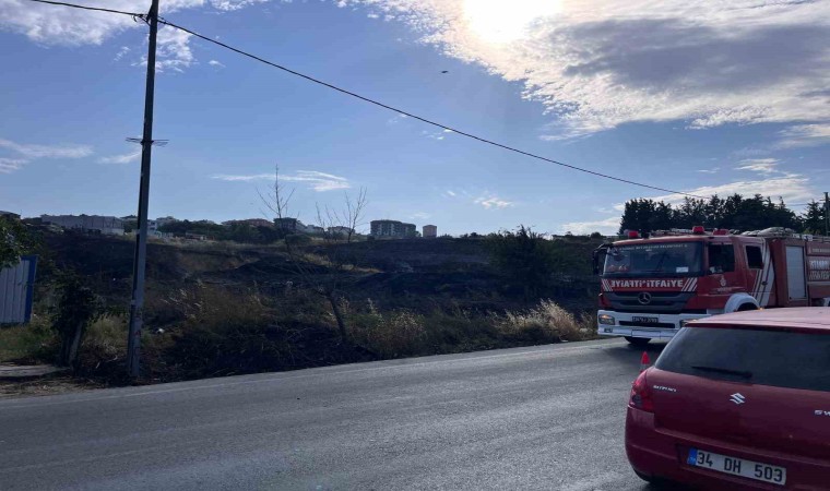 Beylikdüzünde otluk alanda korkutan yangın