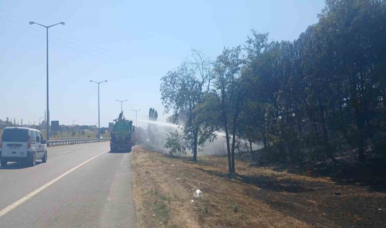 Beylikdüzünde otluk alandaki yangında mahsur kalan kaplumbağayı kurtarıp beslediler