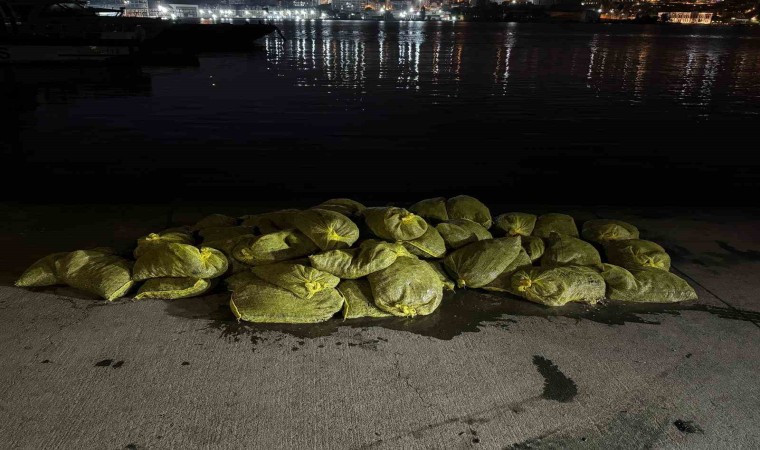 Beyoğlunda 1,5 ton kaçak midye ele geçirildi