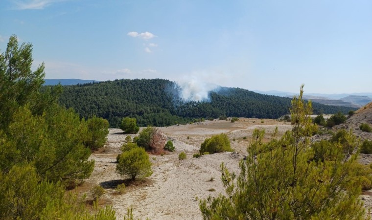 Bigadiçte orman yangını