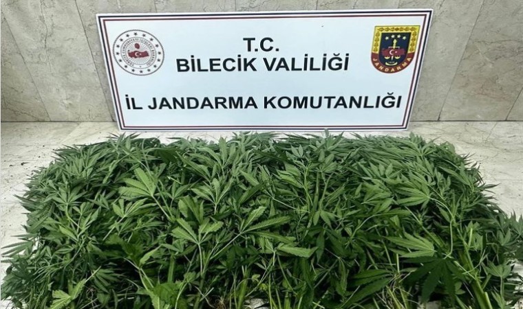 Bilecikte uyuşturucu operasyonu: 2 şüpheli tutuklandı