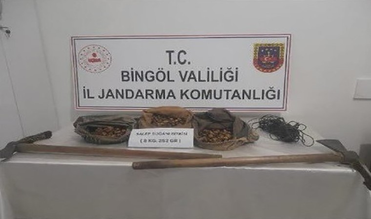 Bingölde salep soğanı toplayanlar yakalandı, 1 milyon 161 bin lira ceza kesildi