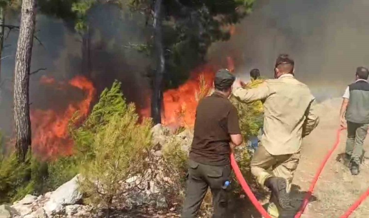 Bodrumda Ateş Savaşçıları alevlerle göğüs göğüse mücadele ediyor