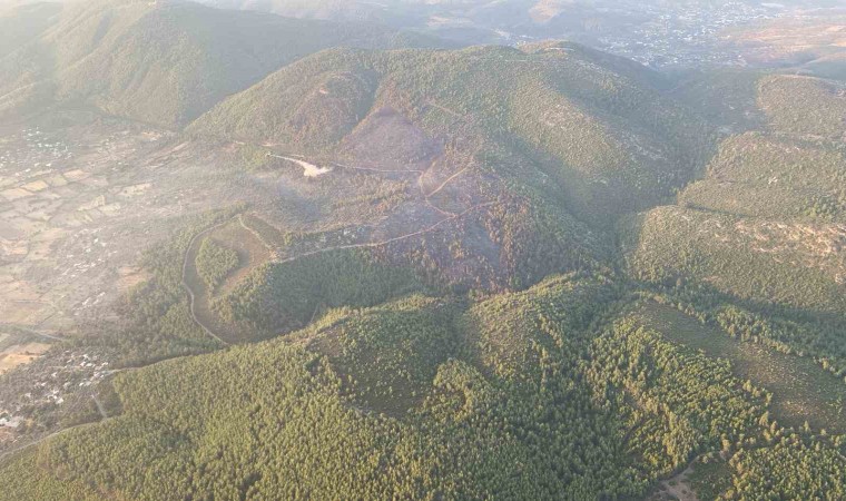 Bodrumda orman yangına 18 saat sonra kontrol altına alındı