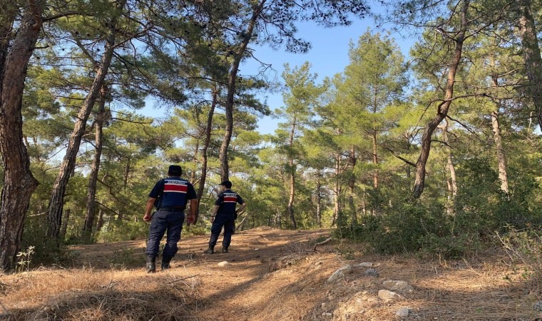 Bozdoğanda orman yangını devriyesi