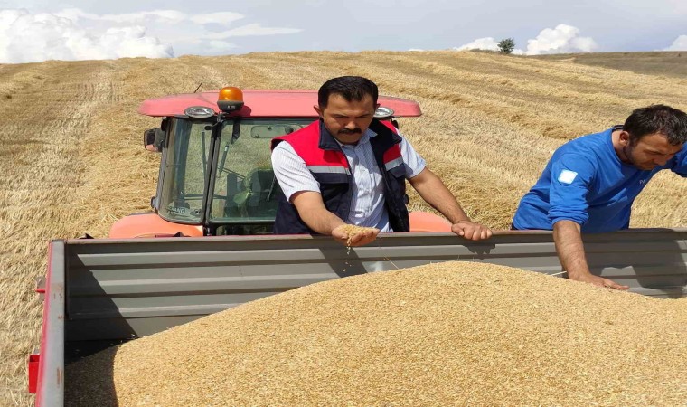 Bozüyükte biçerdöver denetimi ve hasat yapılan hububat tarlalarında kontroller