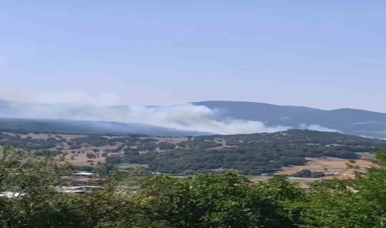 Bursada orman yangını çıktı, havadan ve karadan müdahaleler başladı