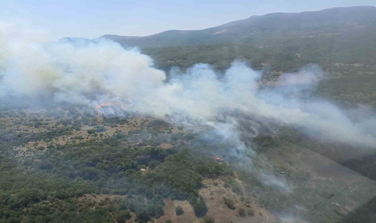 Bursadaki orman yangını kontrol altına alındı