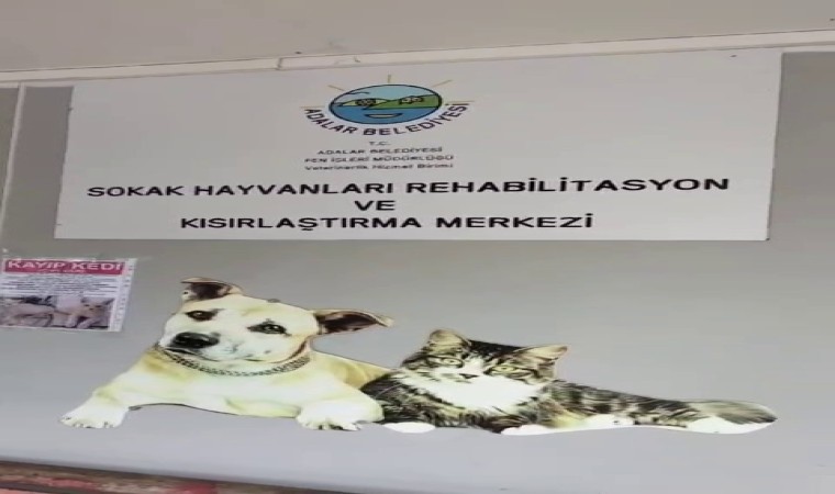 Büyükada Rehabilitasyon Merkezinde hayvanlara bakılmıyor iddiası