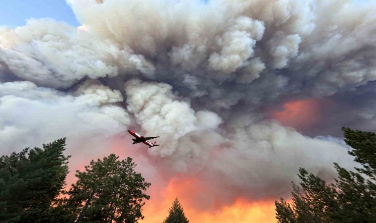 Californianın en büyük orman yangını: 145 bin dönümden fazla alan kül oldu