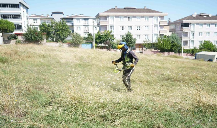 Çayırovada yabani ot temizliği sürüyor