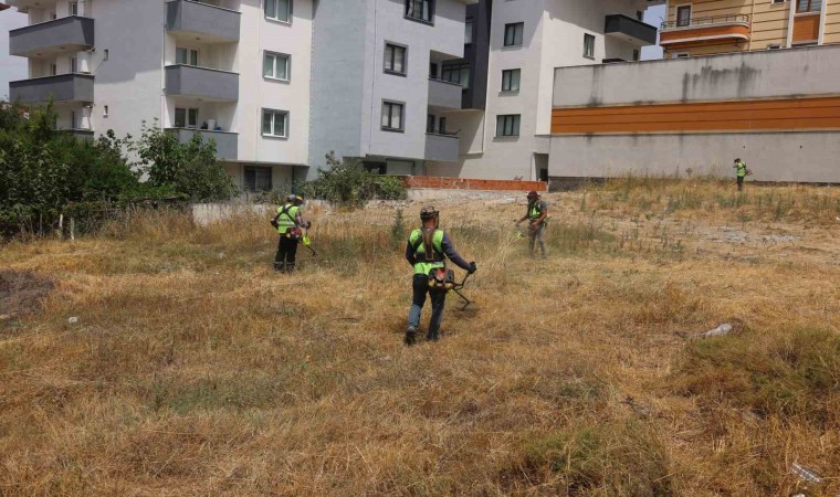 Çayırovada yabani otlar temizleniyor