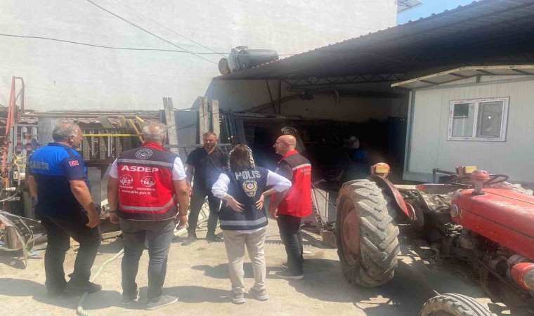 Çemişgezekte sokakta çalıştırılan veya dilendirilen çocuk bulunmuyor