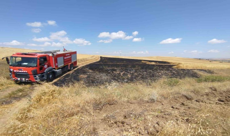 Çorumda 15 hektar ekili arazi yangında kül oldu