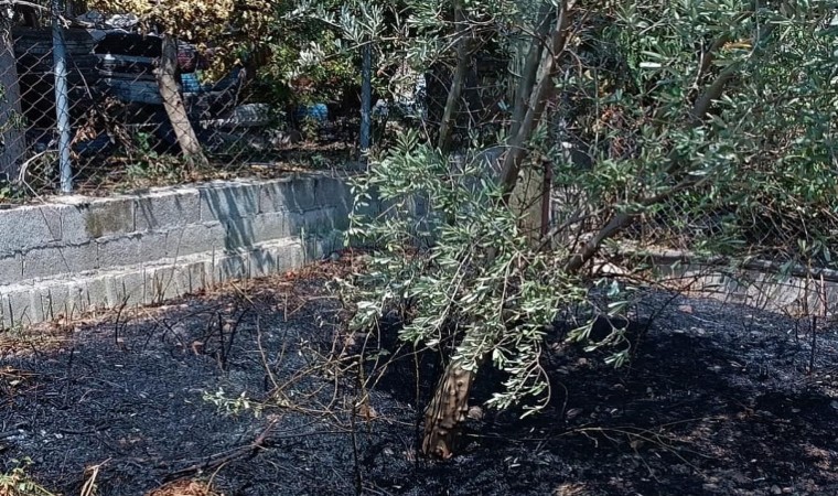 Defnede bahçede çıkan yangın büyümeden söndürüldü