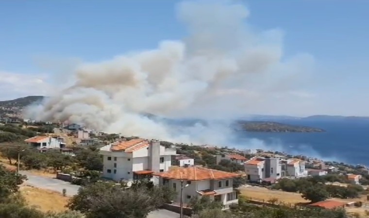 Dikilideki orman yangınına takviye