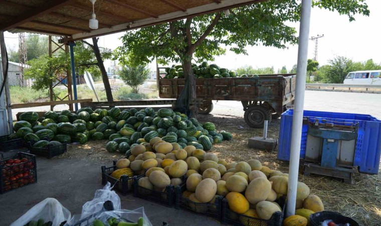 Doğunun Çukurovasından çevre illere sebze ve meyve satılıyor