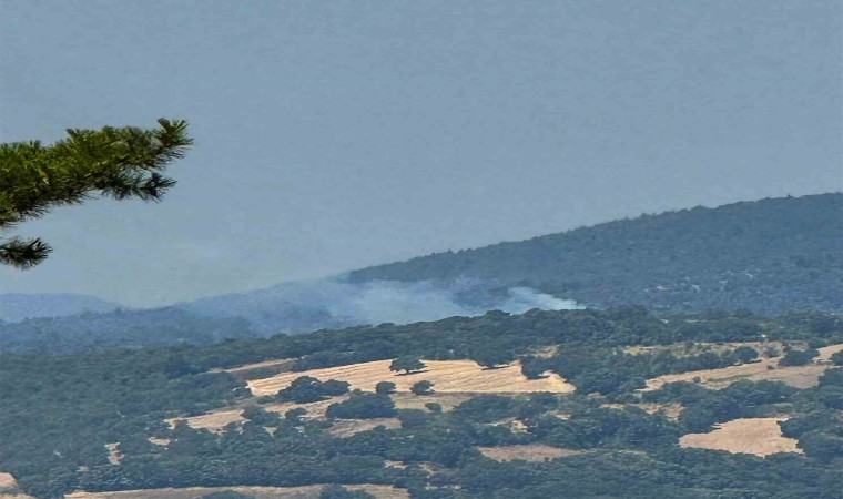 Dursunbeyde arazide çıkan yangın ormana sıçradı