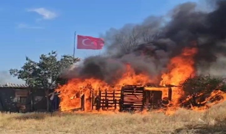 Edirnede ağıl ve tarım arazileri alev alev yandı