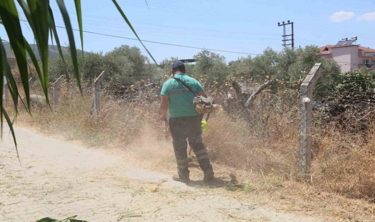 Efelerde çevre temizliği sürüyor