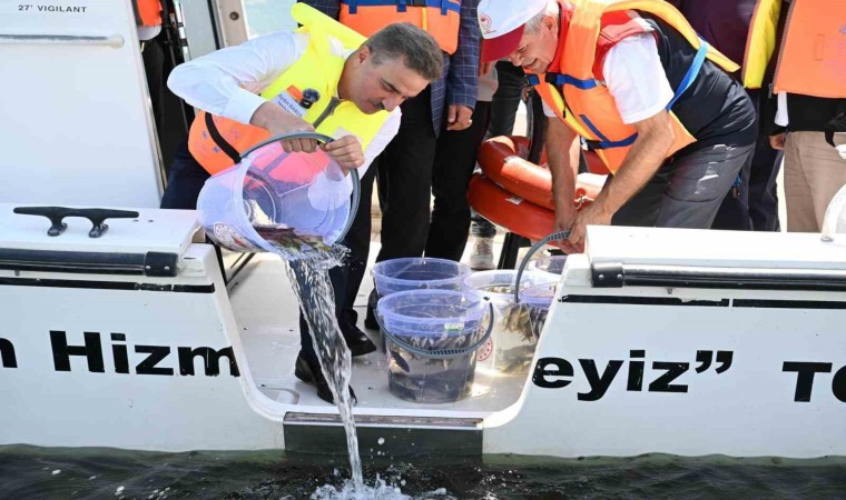 Eğirdir Gölüne 1 milyon 100 bin yavru sazan balığı bırakıldı