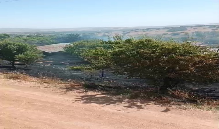 Elazığda korkutan yangın: Alevler evlere sıçramadan söndürüldü