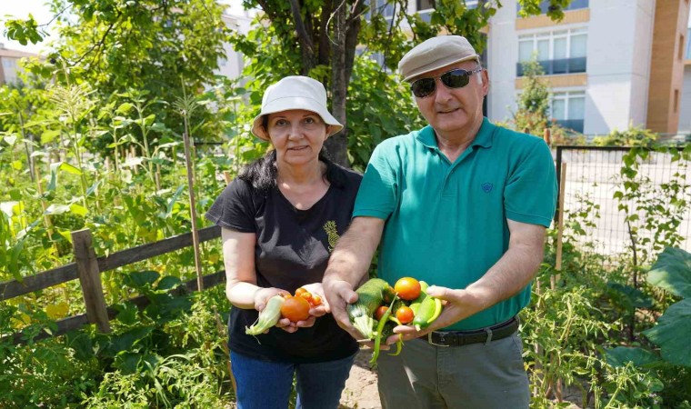 Emekli çifti Gönüllü Bahçesinde 26 çeşit ürün elde etti