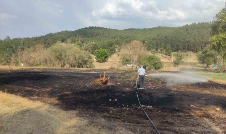 Emette mangal ateşinden çıkan yangından 2 dönüm ekili alan zarar gördü