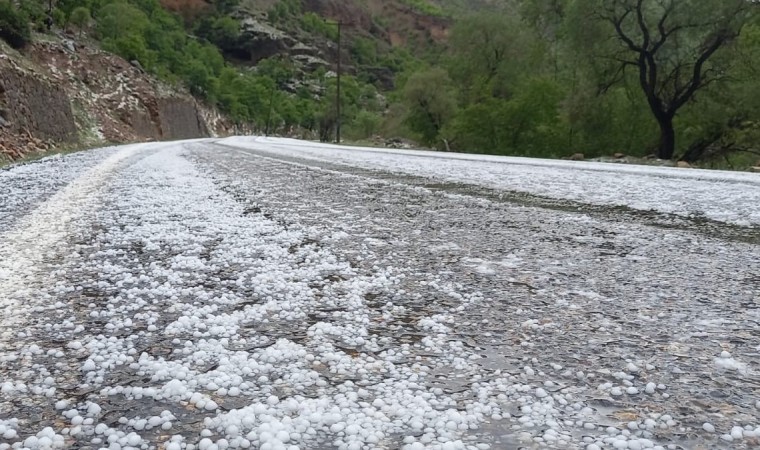 Erzincanda dolu yağışı etkili oldu