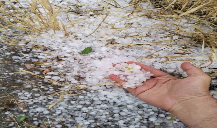 Erzincanın Tercan ilçesinde dolu etkili oldu