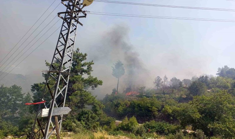 Evde çıkan yangın ormana sıçradı