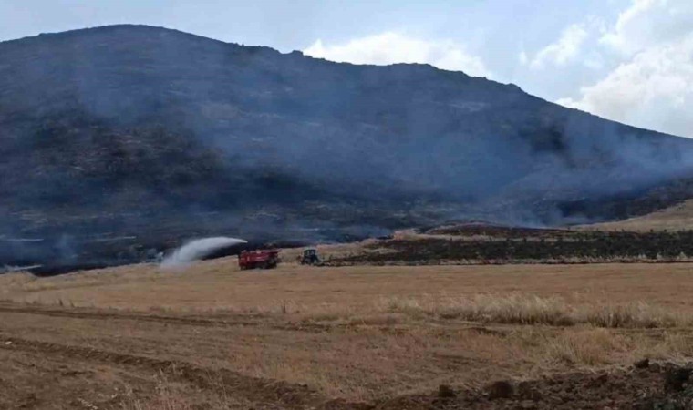 Gaziantepte anız yangını ormanlık alana zarar verdi