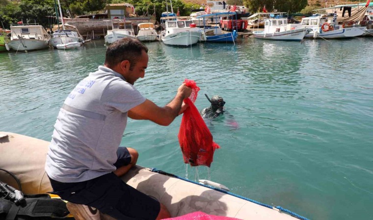 Gümbette deniz dibi temizliği