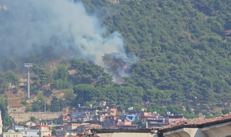 Habibi Neccar Dağında çıkan orman yangını söndürüldü