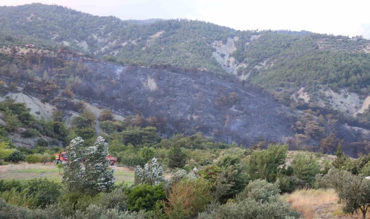 Havadan ve karadan müdahaleyle kontrol altına alınan yangında yaşananları muhtar anlattı