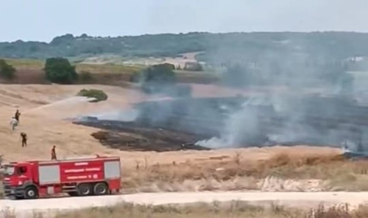 İnegölde buğday tarlası alevlere teslim oldu