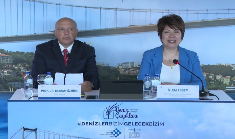 İstanbul Boğazındaki deniz çayırları şamandıralarla korunacak