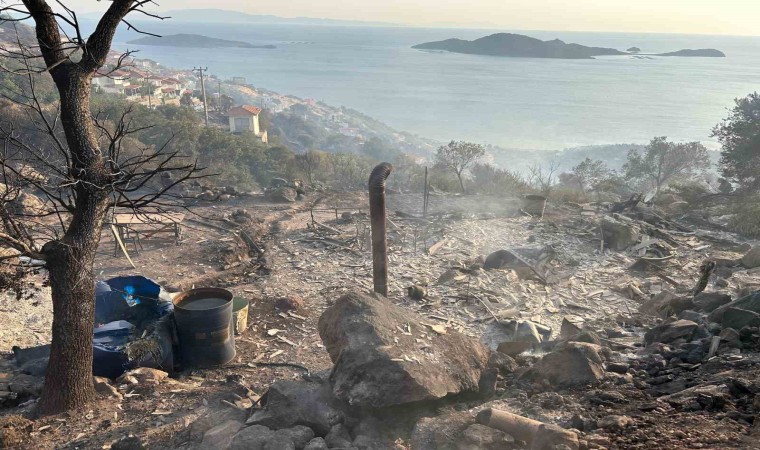 İzmirdeki yangında bir bağ evi kül oldu