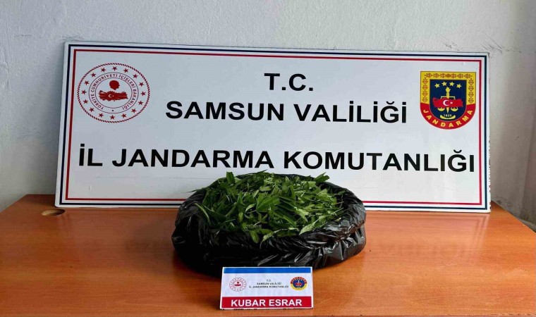 Jandarma 5.5 kilo kubar esrar ele geçirdi