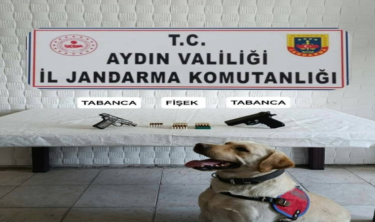 Jandarma ekipleri ruhsatsız tabanca ele geçirdi