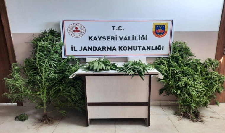 Jandarma Kayseride uyuşturucuya geçit vermiyor