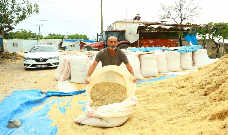 Kahramanmaraşta besicilerin saman telaşı