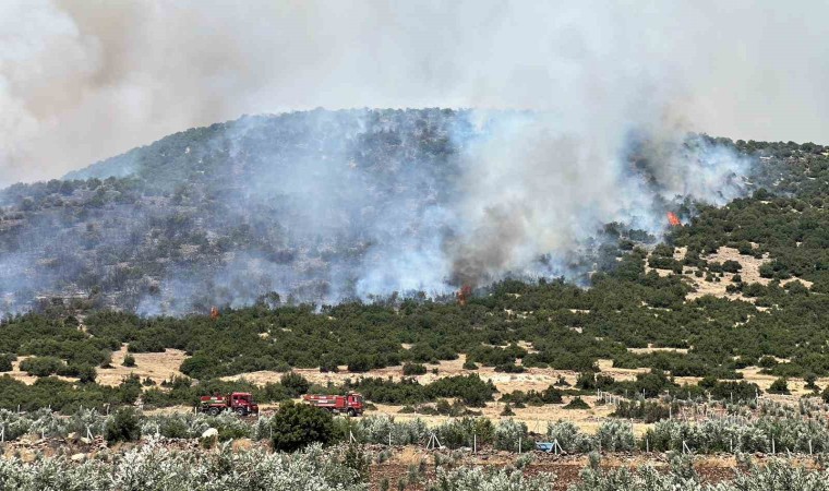 Kahramanmaraşta makilik alanda çıkan yangın kontrol altına alındı