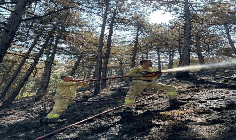 Karabükte orman yangınında 7 hektar alan zarar gördü