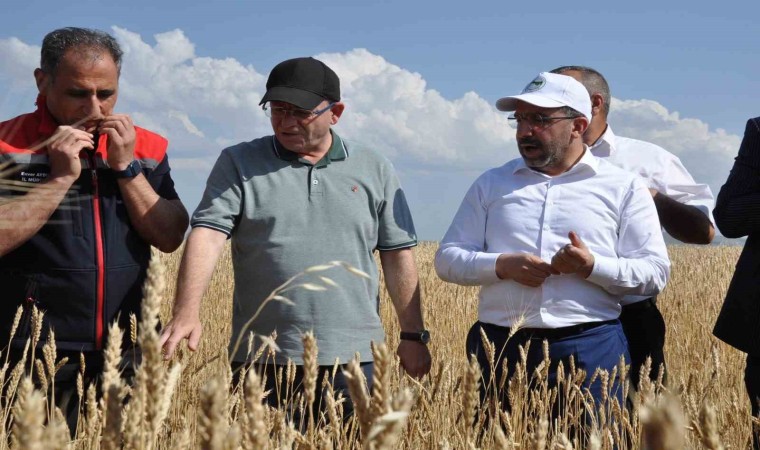 Karsta yüzde 50 hibeyle dağıtılan tohumlar tarlalara ekildi