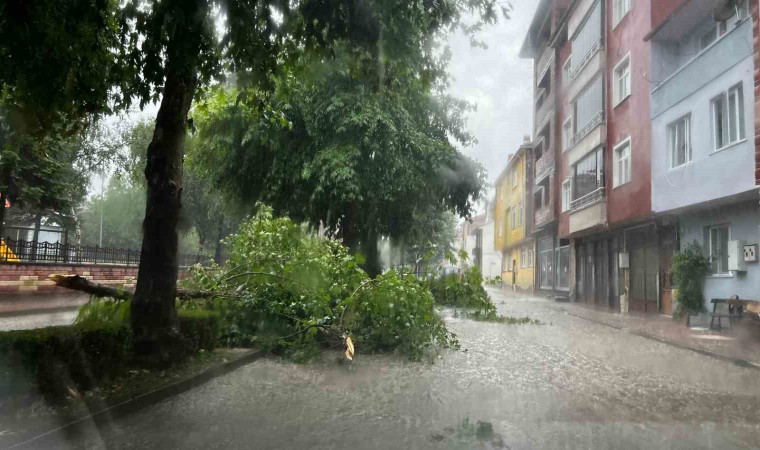 Kastamonuda kuvvetli sağanak hayatı olumsuz etkiledi