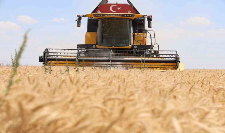 Konyada buğday rekoltesinde düşüş