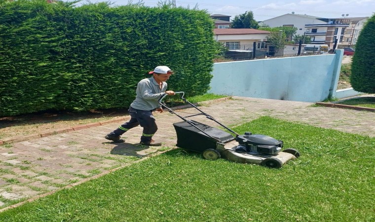 Körfezin parklarına yaz bakımı